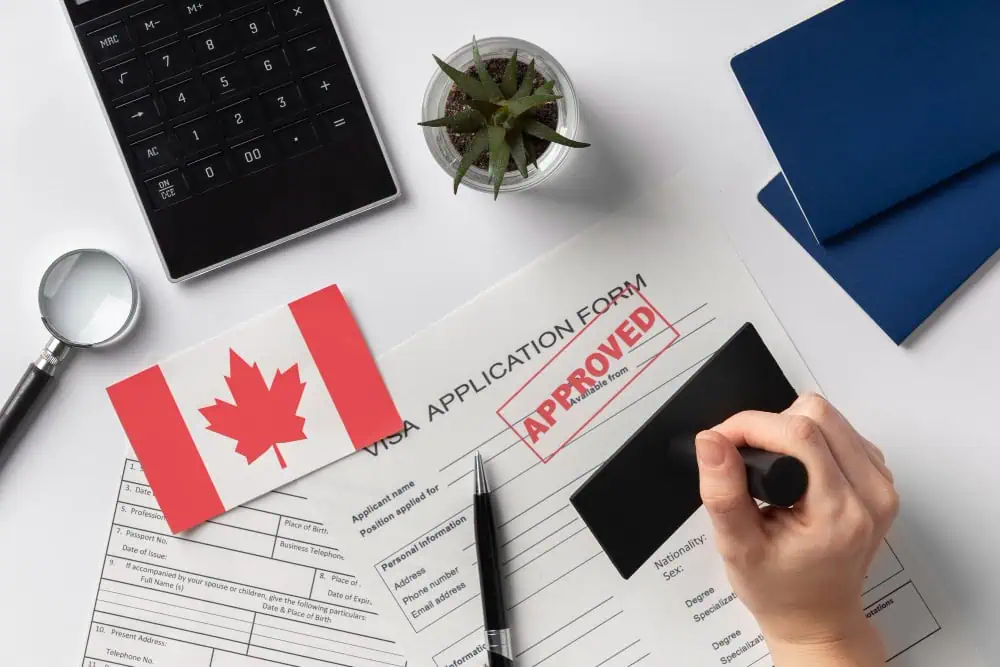 Professional legal representation for immigration law